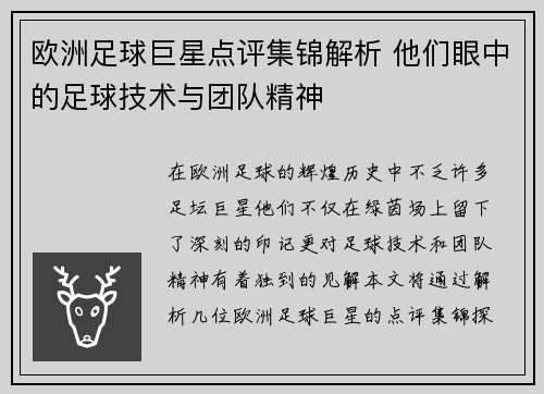 欧洲足球巨星点评集锦解析 他们眼中的足球技术与团队精神